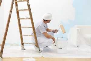 Professional Painter in New Zealand
