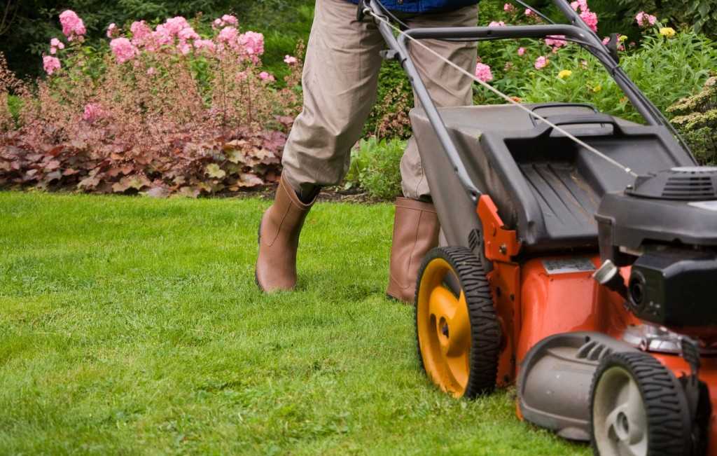 Caring and Loving Your Green Lawn Tractor Mowing & Grassing Services