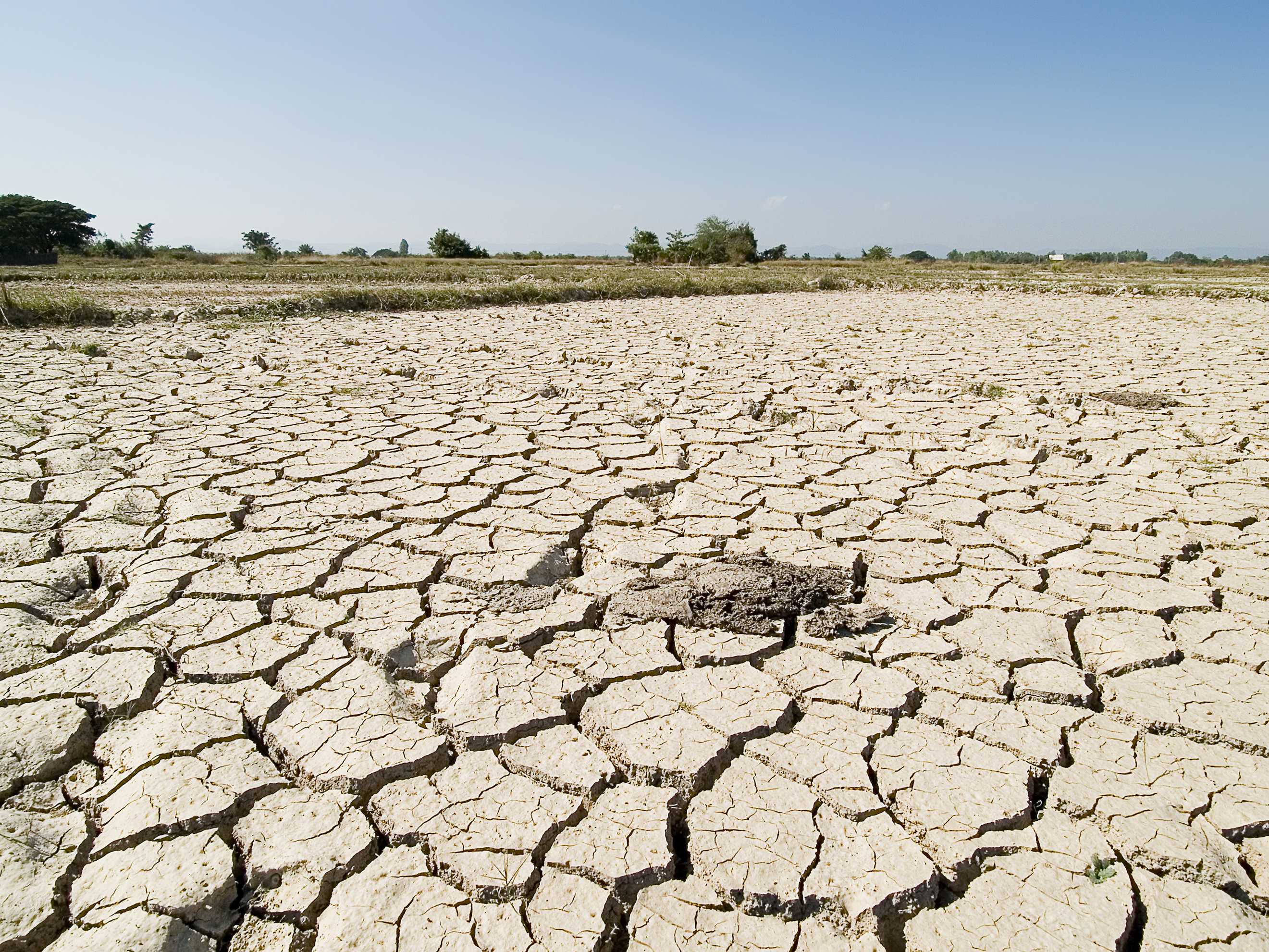 Drought impacts
