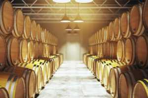 Startup Winery Business