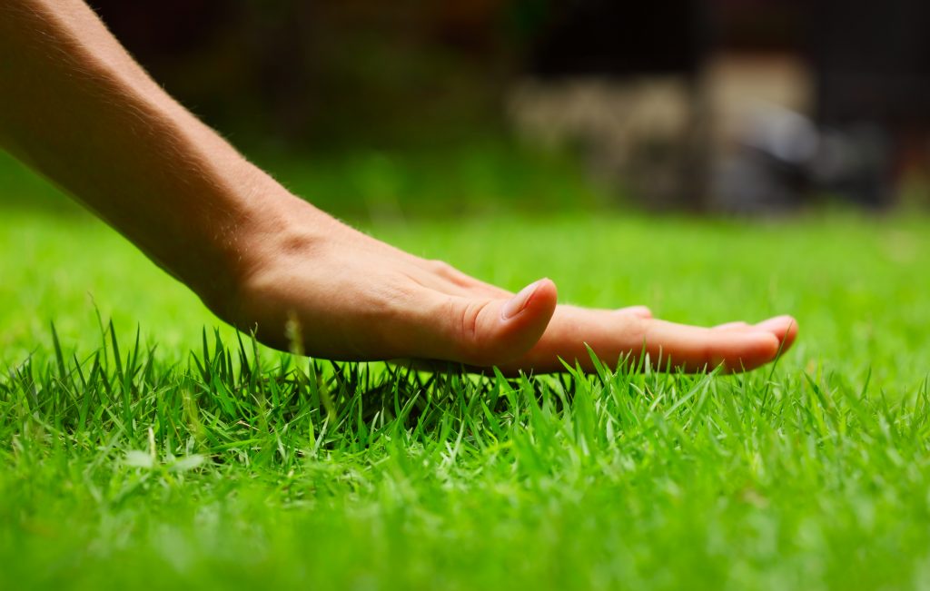 Hand surveying the land