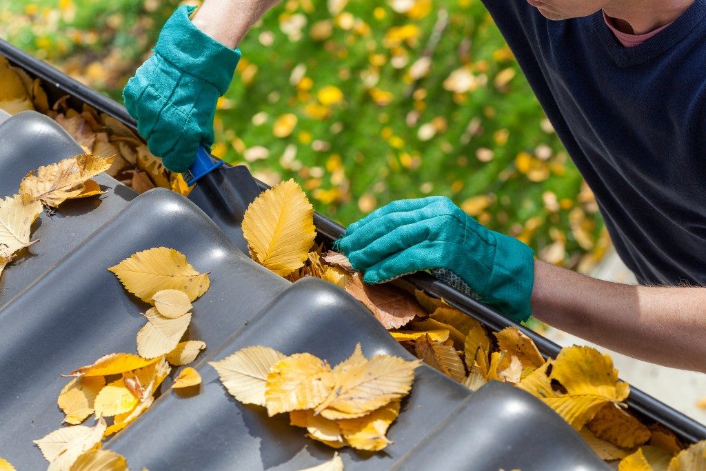 Man wearing gloves cleaning rain gutter