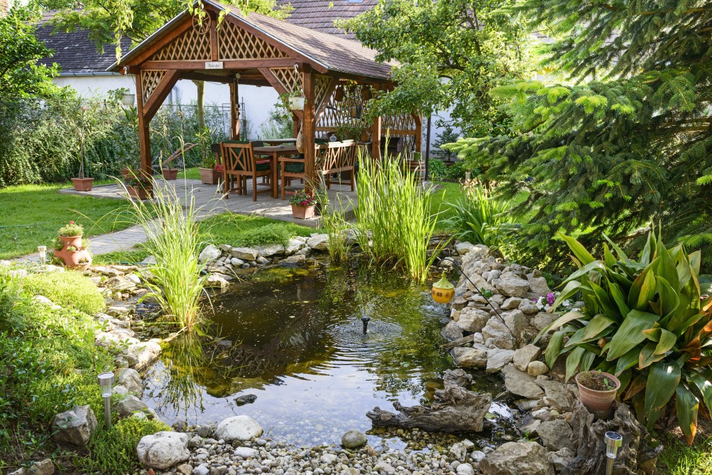 a garden