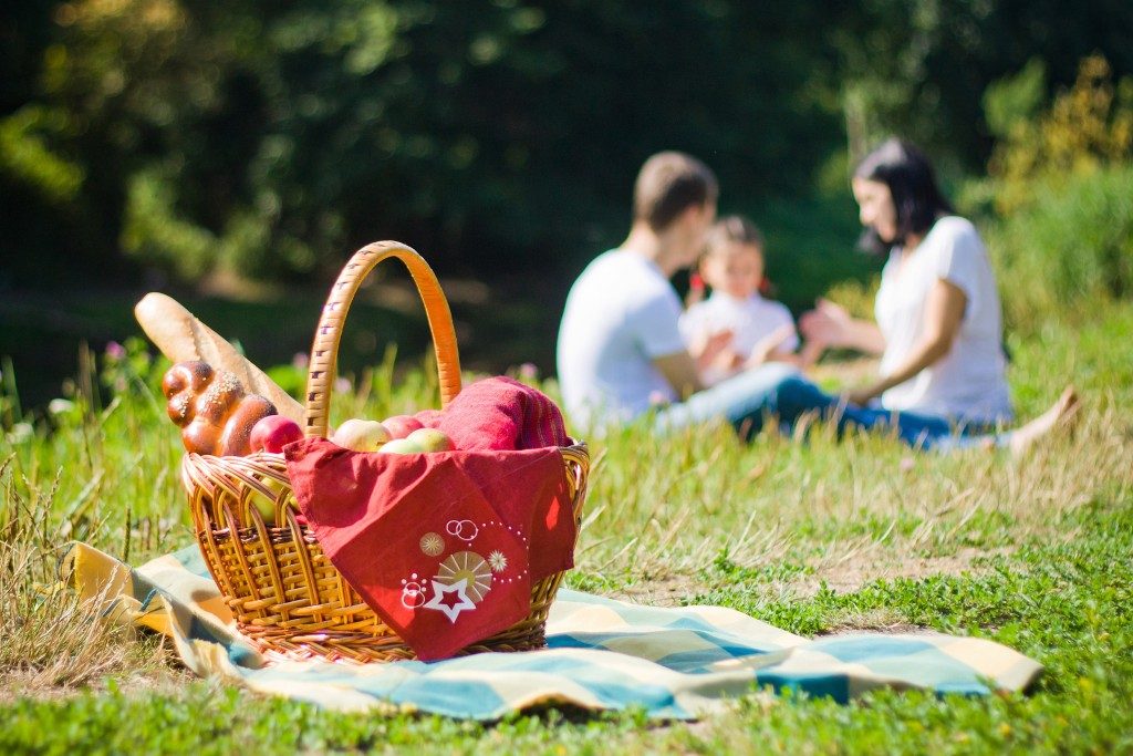 family having a picnic