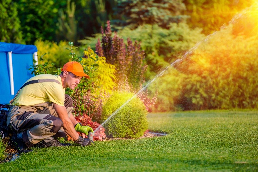 Man testing sprinkler system