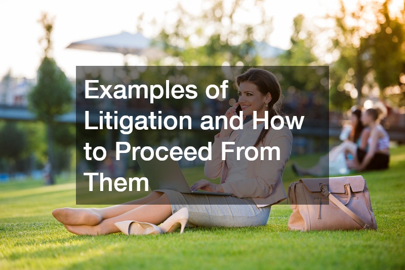 Examples of Litigation and How to Proceed From Them